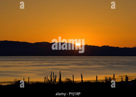 Blick über Playa La Perla bei Sonnenaufgang, Bahia Concepcion am Golf von Kalifornien (See von Cortez), Baja California Sur, Mexiko Stockfoto