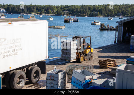 Laden live Hummer auf einem Lkw in Southwest Harbor, Maine, USA Stockfoto