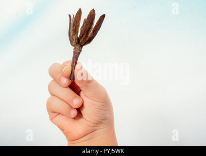 Ein trockenes Blatt im Herbst mal in Hand Stockfoto