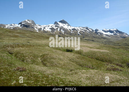 Teilweise Schneebedeckte Berge über einer grünen Wiese auf der Insel Unalaska, Aleuten, Alaska, United States. Stockfoto