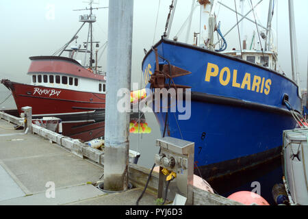 Kommerzielle Fischerboote angedockt an einem Jachthafen in Dutch Harbor, auf der Insel Amaknak (unalaska), in den Aleuten, Alaska, United States. Stockfoto