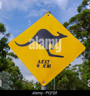 Vorsicht der schwarzen Kängurus für die nächste Entfernung auf der Straße. Zeichen auf einer australischen Outback Abenteuer gefunden. Stockfoto