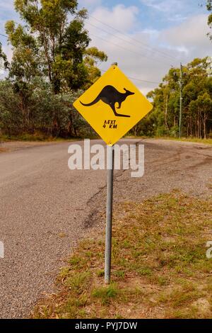 Vorsicht der schwarzen Kängurus für die nächste Entfernung auf der Straße. Zeichen auf einer australischen Outback Abenteuer gefunden. Stockfoto