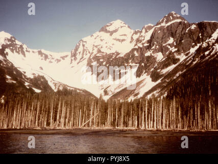 Juli 1976 - nuka Bay, North Arm, Alaska Stockfoto