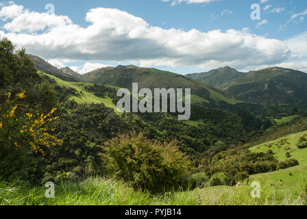 Ansicht en-route von Kaikoura in Hamner Springs auf die Straße. Sonnenschein, Rolling Hills, blauer Himmel und flauschige Wolken. Stockfoto