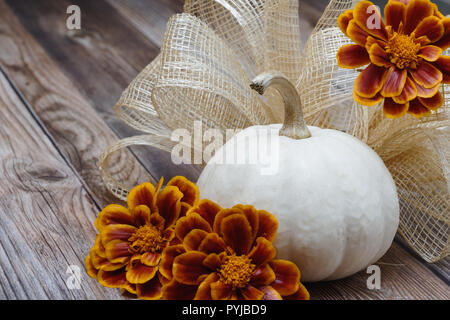 Kürbis Ringelblumen und Bug auf Holz Tisch Stockfoto