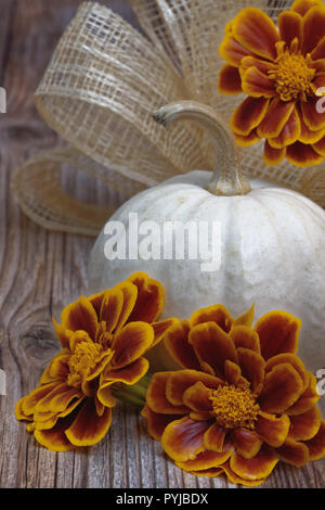 Vertikale weiße Kürbis mit ringelblumen und Bogen Stockfoto