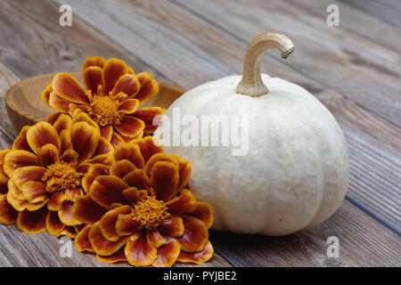 Weiß Kürbis und Ringelblumen auf einem Holztisch Stockfoto