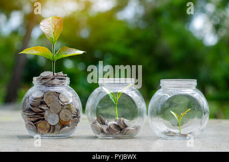 Münze baum Glas Glas Pflanzen von Münzen außerhalb der Glasbehälter auf verschwommenes grün Natur Hintergrund Geld sparen und Investitionen Finanzkonzept Stockfoto