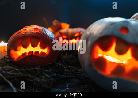 Halloween Kürbisse in einem gruseligen Wald bei Nacht Stockfoto