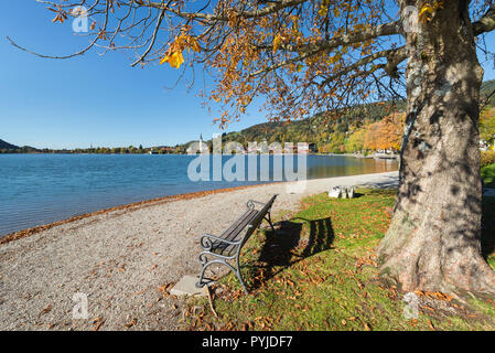 Leeren Bank unter einem Herbst - farbige Ahorn Baum auf einem Kieselstrand am Schliersee mit Blick auf Kirche und Häuser, Bayern, Deutschland Stockfoto