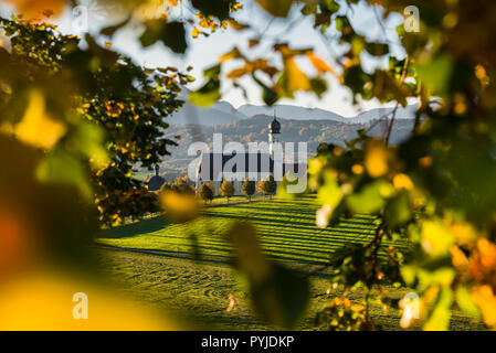 Die barocke Wallfahrtskirche in durch die bunten Blätter im Herbst in der Morgensonne gerahmte Wilparting, Bayern, Deutschland Stockfoto