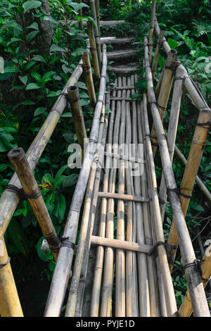 Alte Bambus Brücke in der Mitte des Regenwaldes in Insel Bali, Indonesien Stockfoto