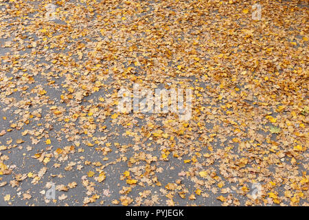 Laub auf dem Bürgersteig, Herbst in der Stadt Stockfoto