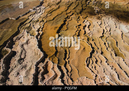 Sinterbildungen - Mammoth Hot Springs, Yellowstone National Park Stockfoto