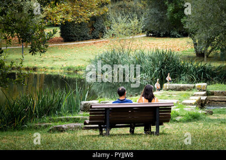 Rückseite des mittleren Alters Paar sitzen auf einer Bank im Park, vor einem Teich.