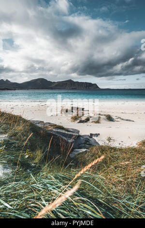 Eine typische Lofoten Beach view Frames das Meer bei Ramberg Lofoten. Szene an einem schönen Tag mit blauem Himmel und einige Wolken mit Gras im Vordergrund. L Stockfoto