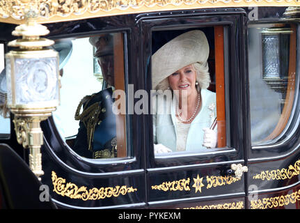 London, Großbritannien. 29 Apr, 2011. Der britische Prinz Charles und Camilla, Herzogin von Cornwall, lassen Sie die Westminster Abbey in einer Kutsche nach der Trauung von Prinz William und Prinzessin Katharina in London, Großbritannien, 29. April 2011. Rund 1.900 Gäste folgten der königlichen Hochzeit von Prinz William und Kate Middleton in der Kirche. Credit: Albert Nieboer | Verwendung weltweit/dpa/Alamy leben Nachrichten Stockfoto