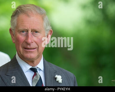 Croeffelbach, Deutschland. 27 Mai, 2013. Die Erbin der englische Thronfolger, Prinz Charles, steht auf einer Wiese in Croeffelbach, Deutschland, 27. Mai 2013. Prinz Charles zu Besuch in Langenburg Schloss an einem Symposium über regionale Nahrungsmittelproduktion am 27. Mai 2013 zu nehmen. Credit: Marijan Murat | Verwendung weltweit/dpa/Alamy leben Nachrichten Stockfoto