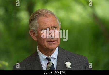 Croeffelbach, Deutschland. 27 Mai, 2013. Die Erbin der englische Thronfolger, Prinz Charles (L), steht auf einer Wiese in Croeffelbach, Deutschland, 27. Mai 2013. Prinz Charles zu Besuch in Langenburg Schloss an einem Symposium über regionale Nahrungsmittelproduktion am 27. Mai 2013 zu nehmen. Credit: Marijan Murat | Verwendung weltweit/dpa/Alamy leben Nachrichten Stockfoto