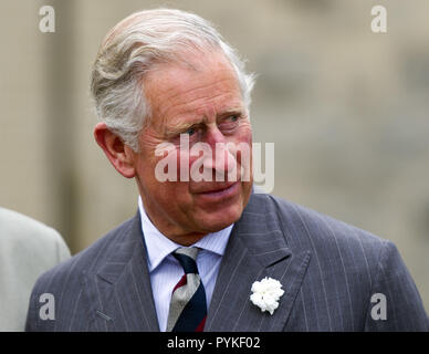 Langenburg, Deutschland. 27 Mai, 2013. Die Erbin der englische Thronfolger, Prinz Charles, ist abgebildet in Langenburg, Deutschland, 27. Mai 2013. Prinz Charles besuchte Baden-Wuerttemberg um ein Symposium über regionale Nahrungsmittelproduktion zu besuchen. Credit: DANIEL BOCKWOLDT | Verwendung weltweit/dpa/Alamy leben Nachrichten Stockfoto