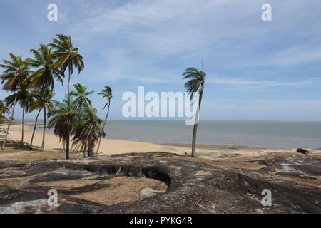 Korou, Frankreich. Okt, 2018 19. Palmen, Sand und Felsen können am Strand von Kourou in Französisch-Guayana gesehen werden. Credit: Janne Kieselbach/dpa/Alamy leben Nachrichten Stockfoto