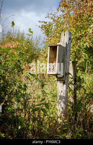 Eine hausgemachte Fehler Hotel im Herbst wilden Garten. Stockfoto