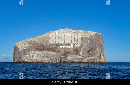 Bass Rock, North Berwick Küste, Weltkulturerbe für die Kolonie der Basstölpel, Morus bassanus, Leuchtturm aus dem Jahre 1902 von David Stevenson Stockfoto