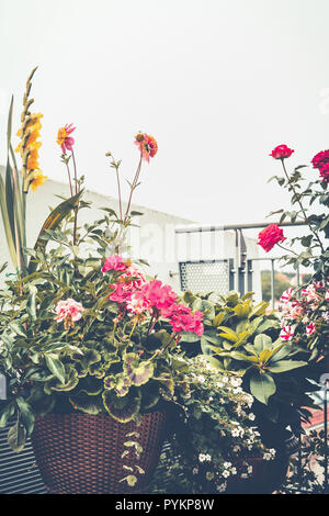 Herbst Balkon Garten. Verschiedene Blumen Töpfe und dekorativen Pflanzen Blätter auf der Terrasse. Urban Gardening Stockfoto