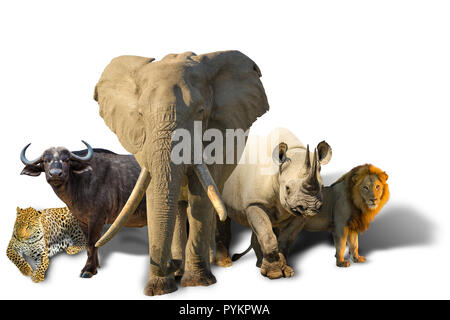 African Safari mit Big Five auf weißem Hintergrund: Leoparden, Büffel, Elefanten, Nashörner und Löwen. Wilde Tiere Hintergrund. Stockfoto