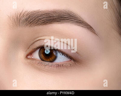 In der Nähe der Schöne braune weibliche Auge Stockfoto