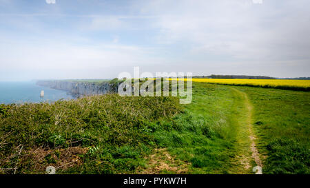 Küste der Normandie Stockfoto