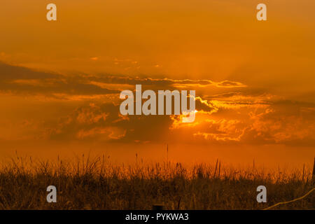 Sonnenuntergang am Strand, Low Angle View. Stockfoto