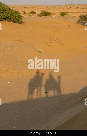 Die Schatten von Camel Riders in Sam Wüste, in der Nähe von Jaisalmer, Rajasthan, Indien Stockfoto