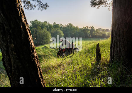 Moskau, Russland - 17. Mai 2014: ATV Fahrer in Aktion für Honda TRX 700XX Stockfoto