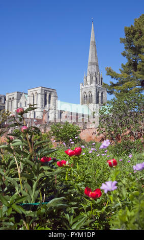England, West Sussex, Chichester, Kathedrale spire von Bischöfen Gärten gesehen Stockfoto