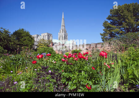 England, West Sussex, Chichester, Kathedrale spire von Bischöfen Gärten gesehen Stockfoto