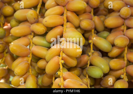 Nahaufnahme, reife, gelbe Früchte Termine auf dem Palm. Hintergrund gelbe Früchte Termine Stockfoto