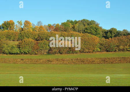 Landschaft der Schwäbischen Alb mit Sträuchern und Wiesen in einer hügeligen Gegend an sonnigen Oktober Tag Stockfoto