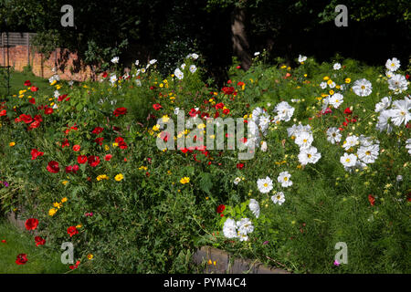 Sommerblume boarder in Englischer Garten, England, Europa Stockfoto