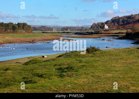 Ein langer Blick Richtung Ogmore Burgruine mit der Behandlung arbeitet Access Bridge im Vordergrund auf einer sonnigen trockenen Tag im frühen Winter. Stockfoto