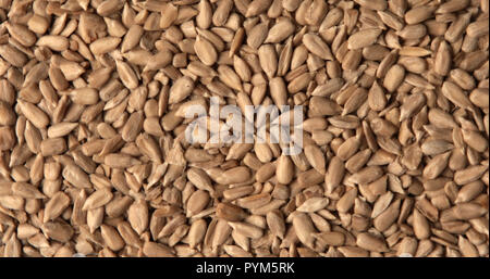 Geschälte Sonnenblumenkerne als Hintergrund- oder Textur Stockfoto