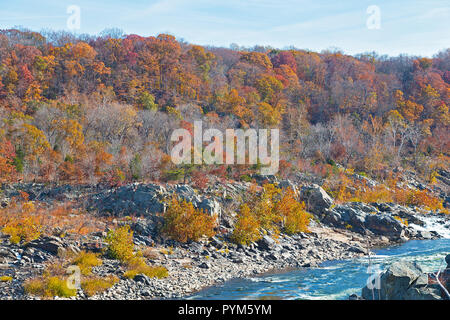 Felsigen Ufer des Potomac River und im Herbst Wald. Great Falls State Park Wanderwege über felsiges Gelände in der Nähe des Flusses. Stockfoto