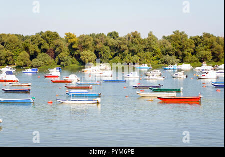 Fischerboote in der Donau verankert Stockfoto
