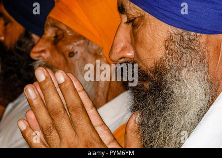 Sikh devotee am Eingang in die Goldenen Tempel beten Komplex Stockfoto