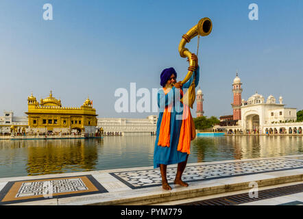 Ein nihang, einem Sikh heiliger Mann, steht und Blasen eine große Messing Horn an der heiligen Pool der Harmandir Sahib, der Goldene Tempel Stockfoto