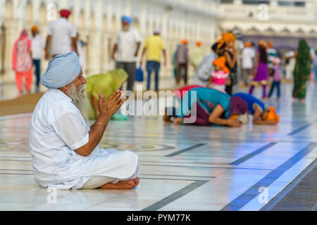 Ein Sikh Anhänger ist Gebet an den Heiligen pool Der Harmandir Sahib, der Goldene Tempel Stockfoto