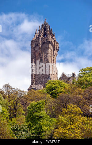 Die nationalen Wallace Monument Stirling Schottland Großbritannien Stockfoto