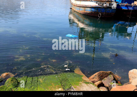 Kunststoff Luftverschmutzung in Hout Bay Hafen in der Nähe von Kapstadt, Südafrika. Stockfoto