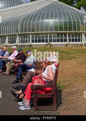 Glaswegians Aalen in der Sonne auf den Bänken im freien Gelände Glasgow Botanic Gardens im Zentrum von Glasgow, Schottland, Großbritannien. Stockfoto